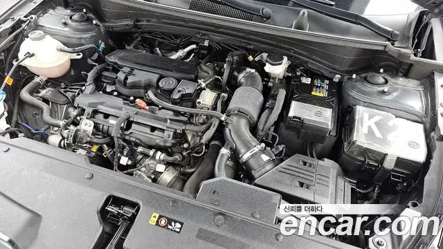 Kia Sportage 2024 — Photo 6/20