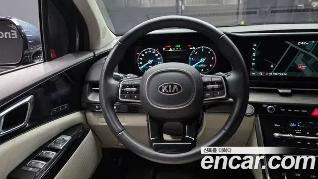Kia Carnival 2020 — ფოტო 5/20
