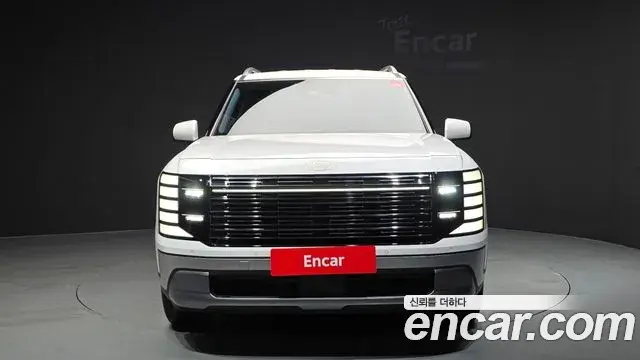 Hyundai Palisade 2025 — ფოტო 29/31