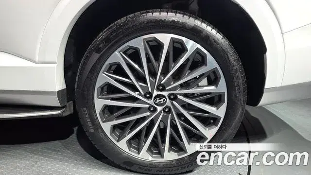 Hyundai Palisade 2025 — ფოტო 28/39