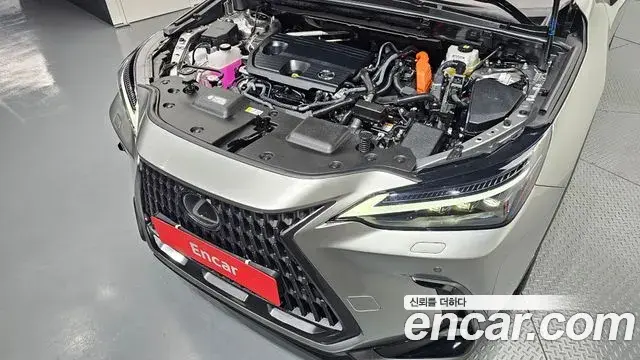 Lexus NX350h 2025 — Şəkil 34/34