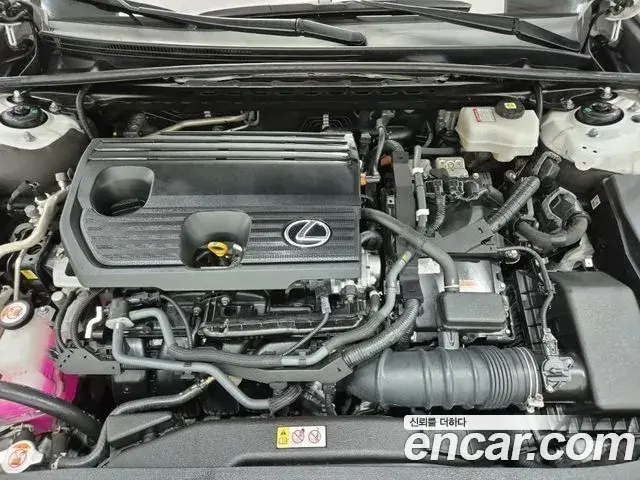 Lexus ES300h 2022 — Şəkil 18/19