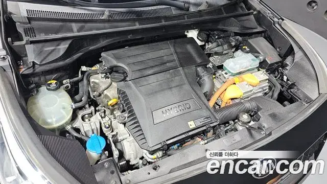 Kia Niro 2019 — Фото 6/20