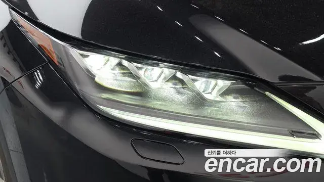 Lexus RX450h 2020 — ფოტო 25/36