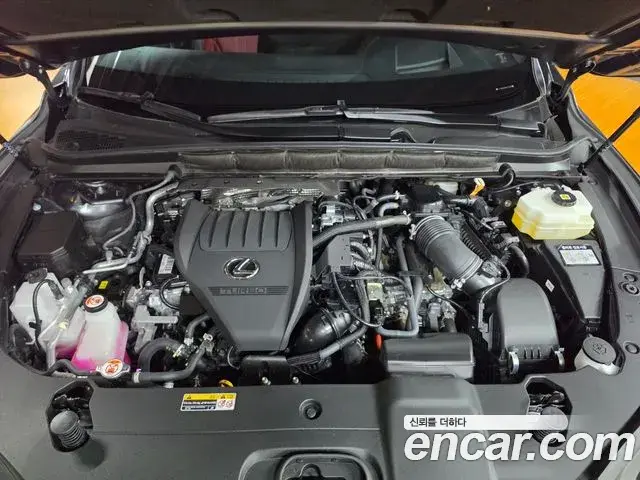 Lexus RX500h 2025 — ფოტო 8/18
