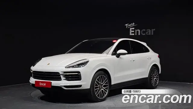 Porsche Cayenne 2021 — ფოტო 11/20
