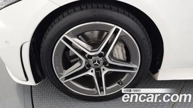 Mercedes-Benz CLS-Class 2019 — ფოტო 8/30