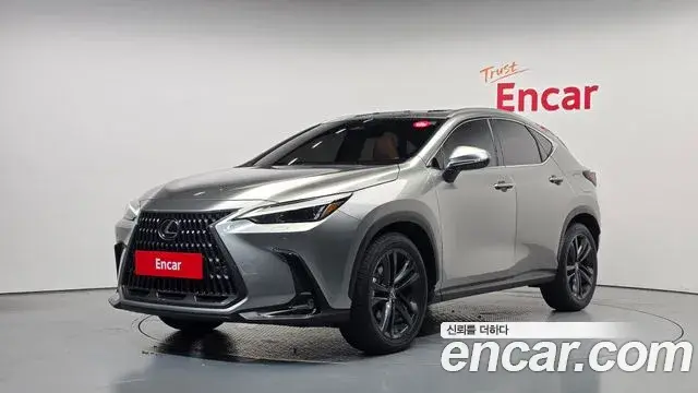Lexus NX350h 2024 — Şəkil 13/31