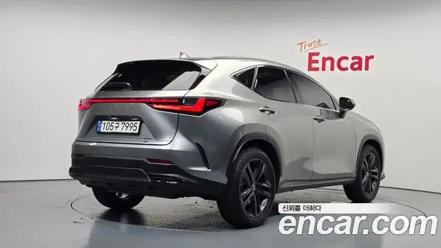 Lexus NX350h 2024 — Şəkil 16/31