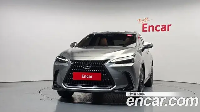 Lexus NX350h 2024 — Şəkil 21/31
