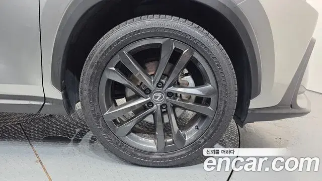Lexus NX350h 2024 — Şəkil 5/31
