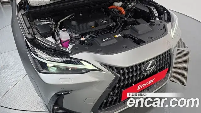 Lexus NX350h 2024 — Şəkil 28/31