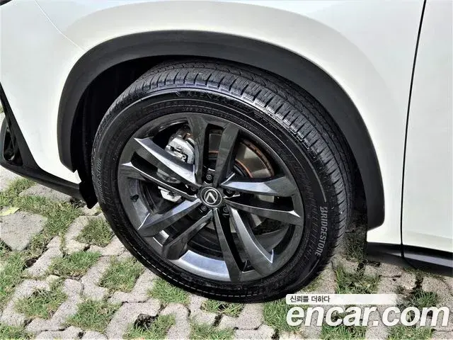 Lexus NX350h 2025 — Photo 20/20