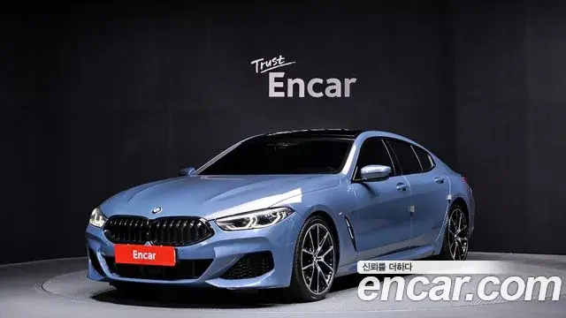 BMW 8 Series 2019 — ფოტო 17/20