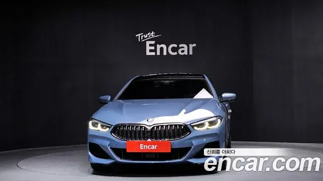 BMW 8 Series 2019 — ფოტო 10/20