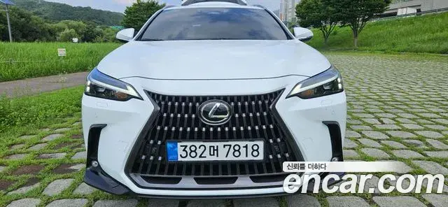Lexus NX350h 2026 — Фото 8/20