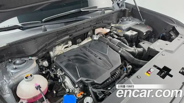 Hyundai Santa Fe 2023 — Фото 6/20