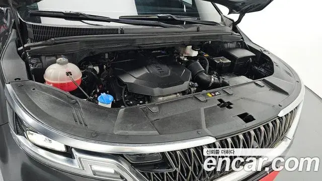 Kia Carnival 2020 — Photo 4/20