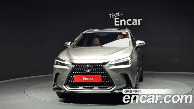 Lexus NX350h 2024 — Photo 8/20