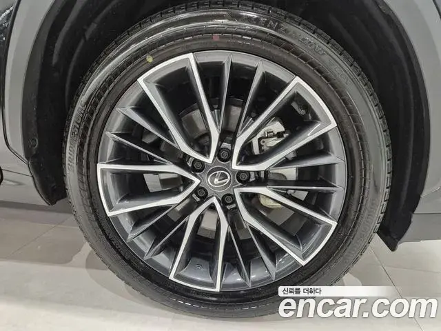 Lexus NX350h 2025 — Şəkil 6/20