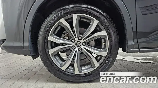 Lexus RX450h 2019 — Şəkil 12/20