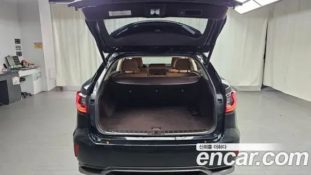 Lexus RX450h 2019 — Şəkil 5/20