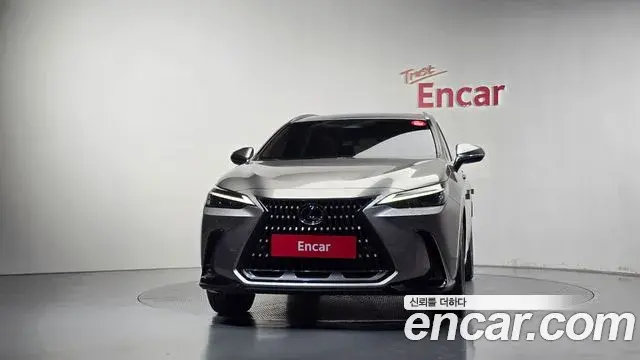 Lexus NX350h 2023 — ფოტო 16/20