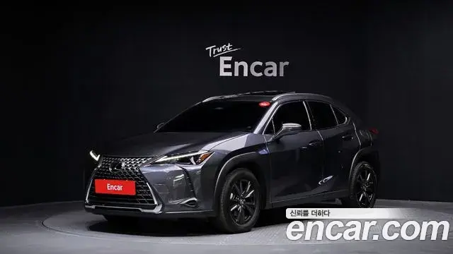 Lexus UX300h 2024 — Şəkil 8/20