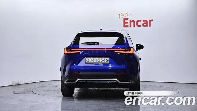 Lexus NX450h+ 2022 — Photo 7/20