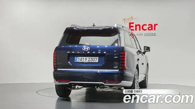 Hyundai Palisade 2025 — Photo 8/20