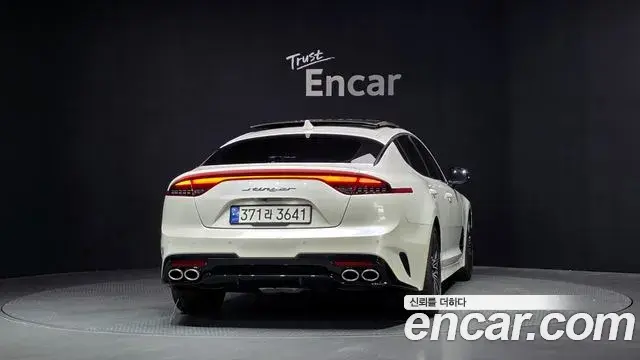 Kia Stinger Meister 2020 — ფოტო 9/32