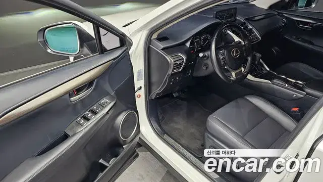 Lexus NX300h 2019 — Photo 16/20