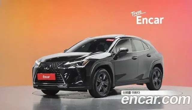 Lexus UX250h 2023 — ფოტო 9/30