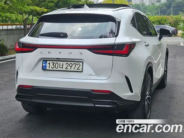 Lexus NX350h, 2023