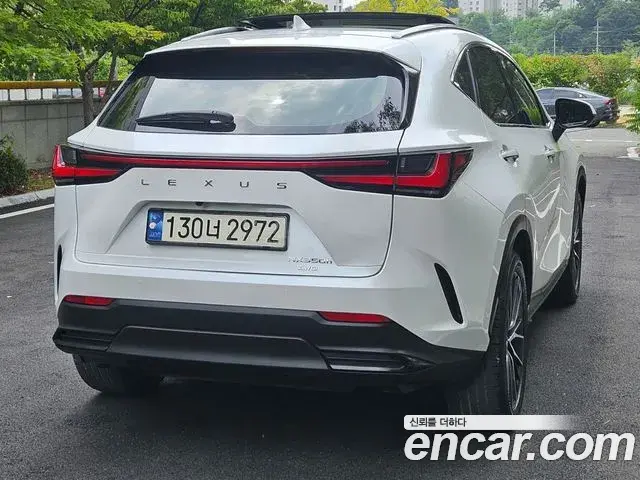 Lexus NX350h 2023 — ფოტო 1/20