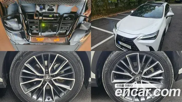 Lexus NX350h 2023 — ფოტო 10/20
