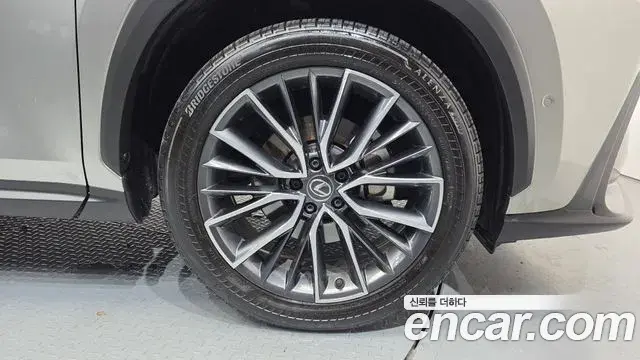 Lexus NX350h 2023 — ფოტო 10/32