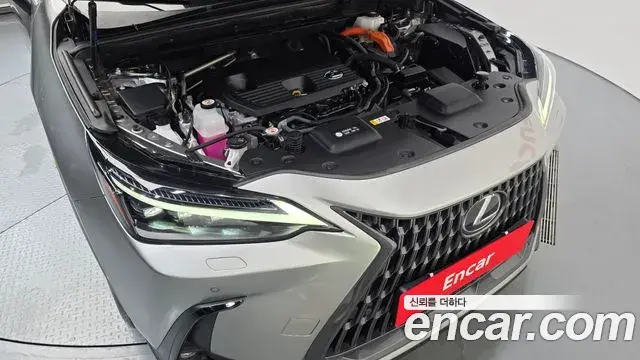 Lexus NX350h 2023 — ფოტო 26/32