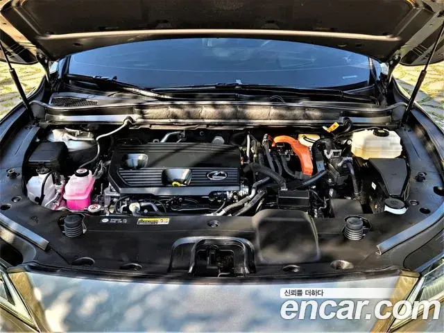 Lexus RX350h 2024 — ფოტო 5/20
