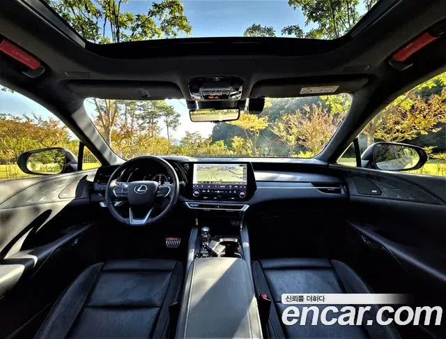 Lexus RX350h 2024 — ფოტო 8/20
