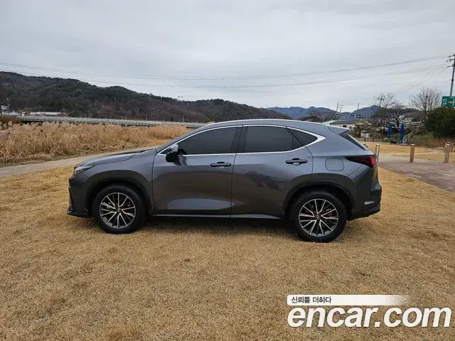 Lexus NX450h+ 2023 — Photo 5/20