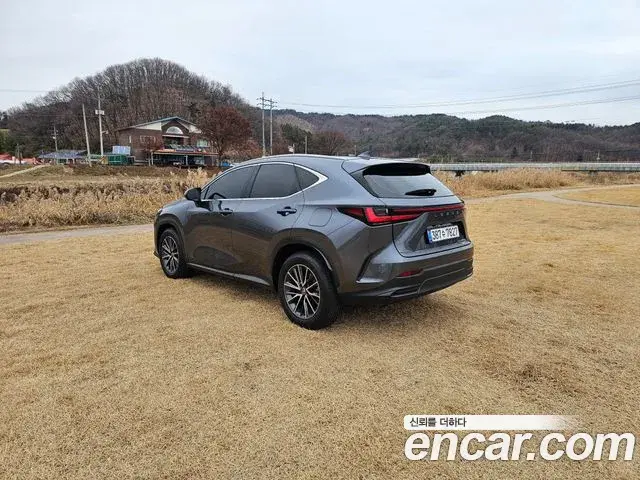 Lexus NX450h+ 2023 — Photo 13/20