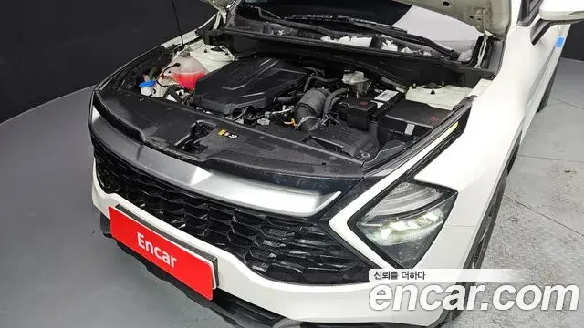 Kia Sportage 2021 — Photo 6/20