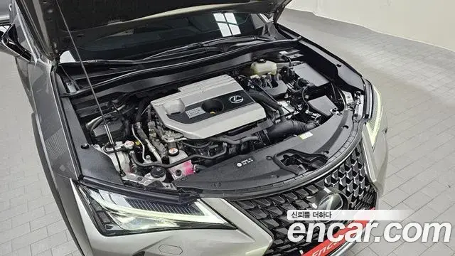 Lexus UX250h 2020 — Photo 6/20