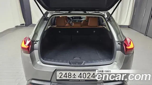 Lexus UX250h 2020 — Photo 20/20