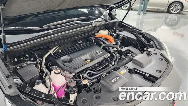Lexus NX350h 2025 — ფოტო 28/36