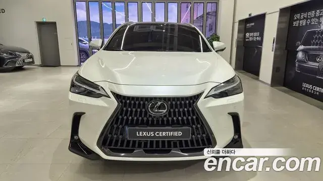 Lexus NX350h 2025 — Şəkil 17/20