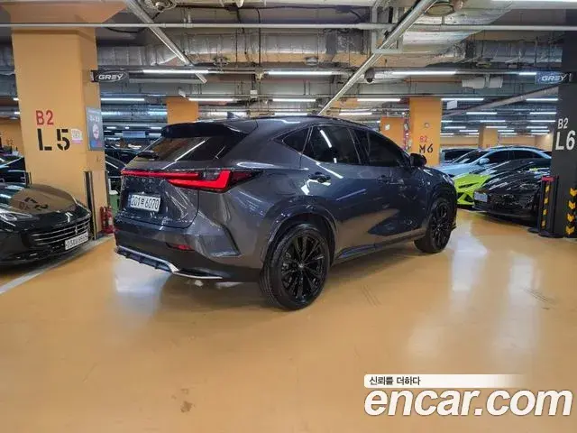 Lexus NX450h+ 2023 — Şəkil 15/20