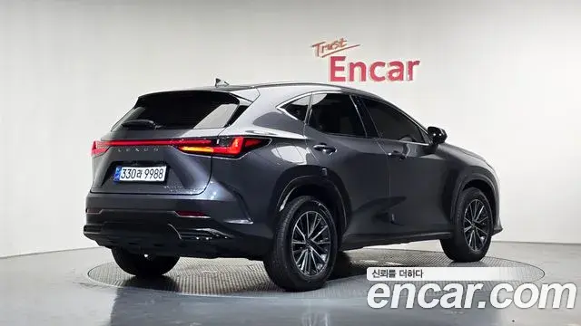Lexus NX450h+ 2023 — Фото 2/20