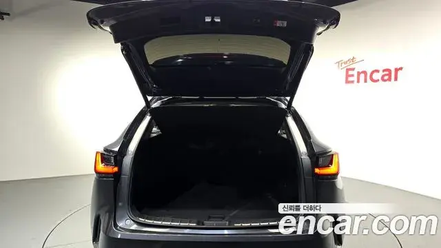 Lexus NX450h+ 2023 — Фото 17/20